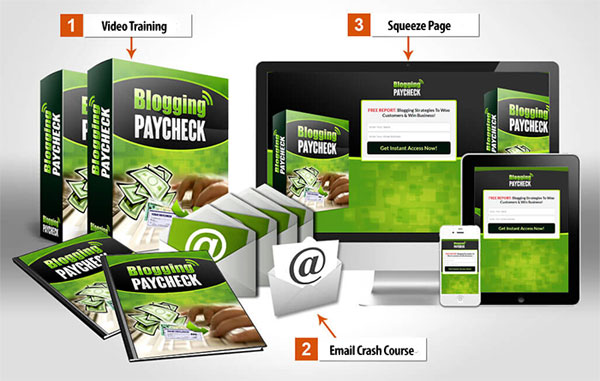 blogging paycheck plr videos