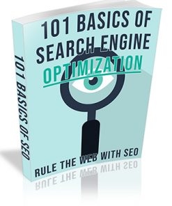 101 Basics of Search Engine Optimization PLR Ebook