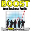 Boost Your Business Profits PLR eBook