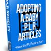 Adopting a Baby PLR Articles