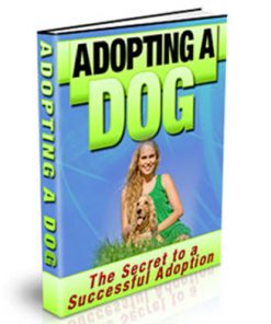 adopting a dog plr ebook