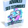 Advanced SEO PLR Ebook