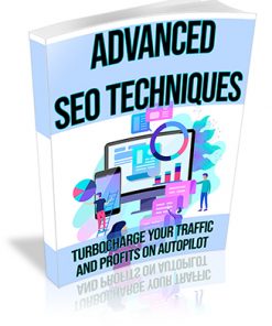 Advanced SEO PLR Ebook