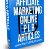 Affiliate Marketing Online PLR Articles