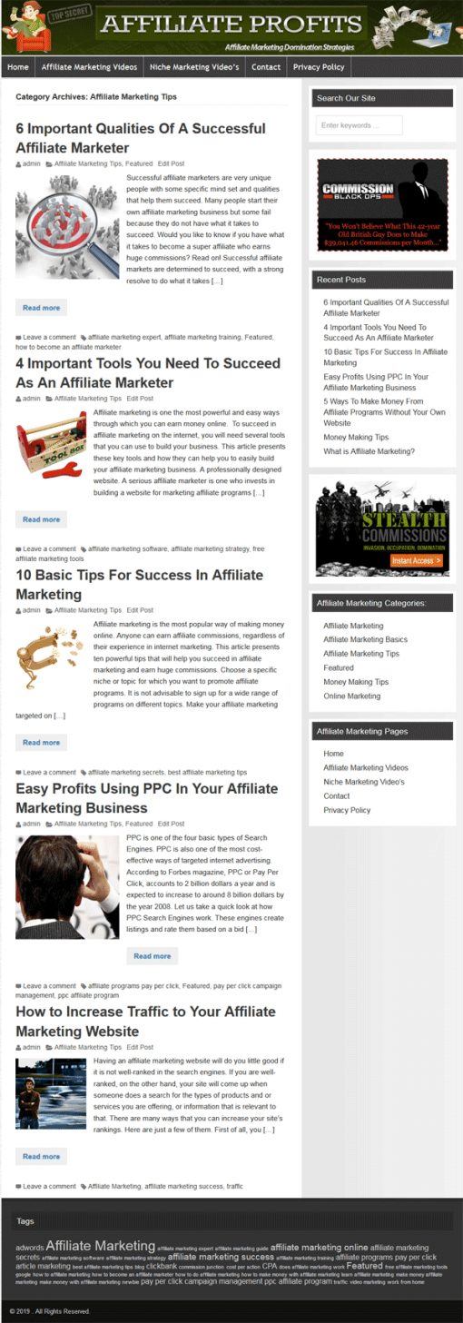 Affiliate Marketing PLR Website