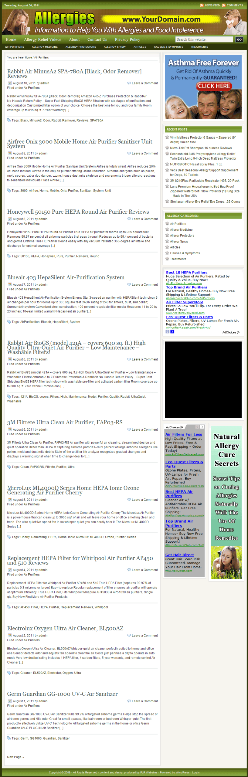Allergies PLR Website - Adsense Amazon and Clickbank - Image 3