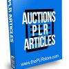 Auctions PLR Articles