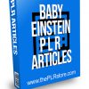 Baby Einstein PLR Articles