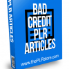 Bad Credit PLR Articles