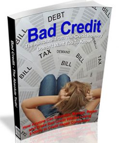 Bad Credit PLR eBook