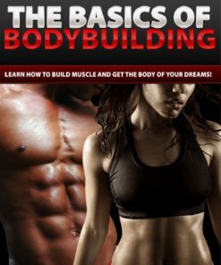 basics of bodybuilding plr ebook