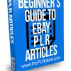 Beginner's Guide to Ebay PLR Articles