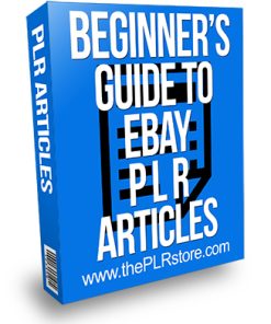 Beginner's Guide to Ebay PLR Articles