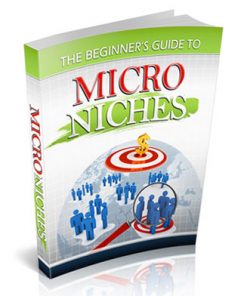 beginners guide to micro niches plr ebook