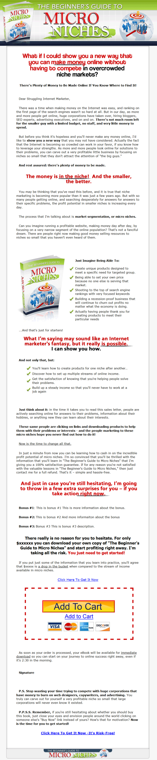 Beginners Guide to Micro Niches PLR Ebook Package - Image 2