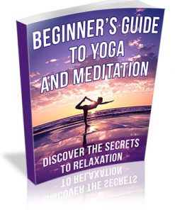 Beginner's Guide to Yoga and Meditation PLR Ebook