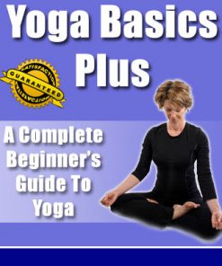 beginners guide to yoga plr ebook