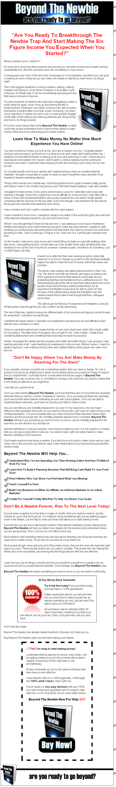 Beyond the Newbie MRR eBook - Image 2