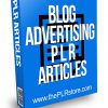 Blog Advertising PLR Articles