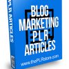 Blog Marketing PLR Articles