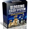 Blogging Cash System PLR Videos