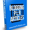 Blogging PLR Articles