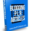 Blogging PLR Articles