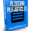Blogging PLR Articles
