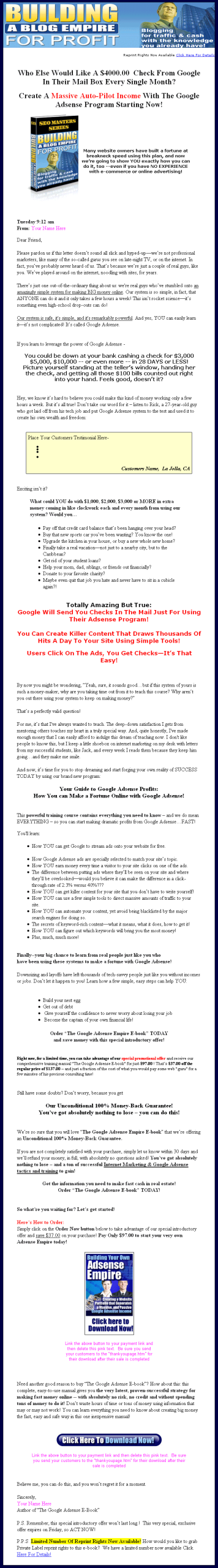 Building a Blog Empire for Profit PLR Ebook - Image 2