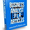 Business Analyst PLR Articles