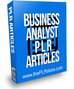 Business Analyst PLR Articles