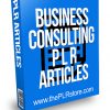 Business Consulting PLR Articles