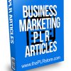 Business Marketing PLR Articles