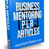 Business Mentoring PLR Articles