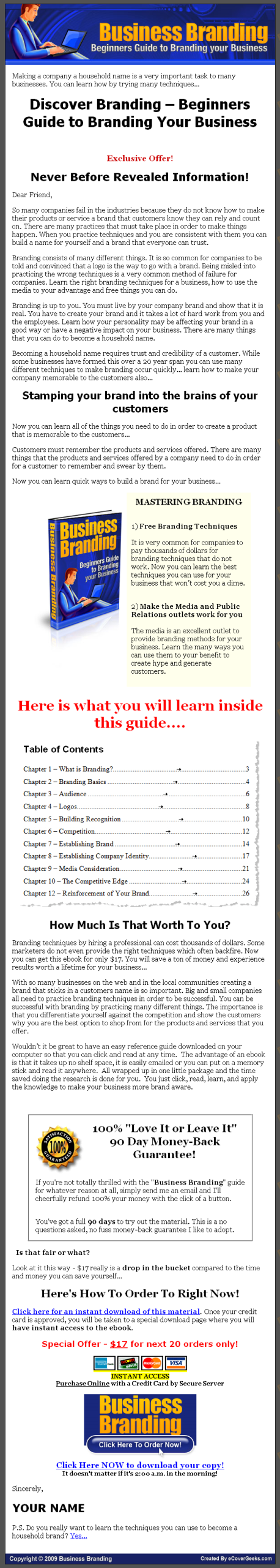 Business Branding MRR eBook - Image 2