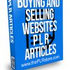 Buying and Selling Websites PLR Articles