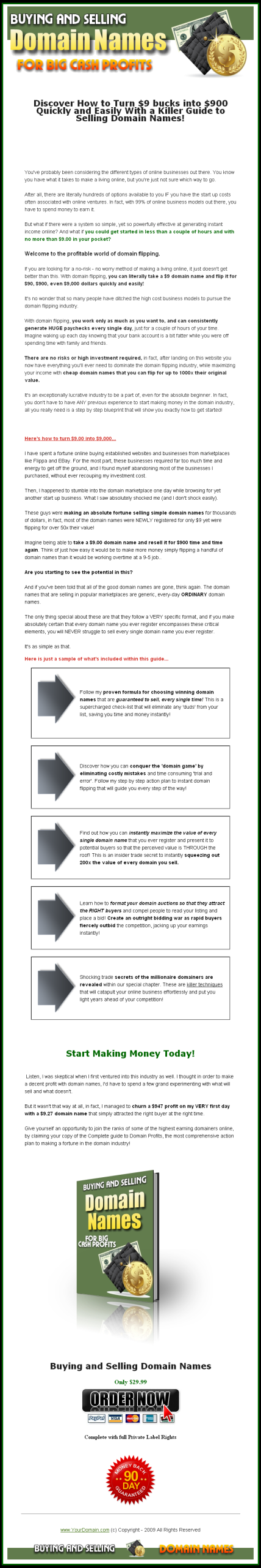 Buying and Selling Domain Names PLR eBook - Image 2