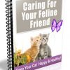 Caring For Your Cat PLR Autoresponder Messages