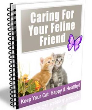 Caring For Your Cat PLR Autoresponder Messages