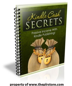 kindle cash secrets plr report