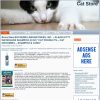 Cat PLR Amazon Store Website with Private Label Rights
