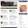 Cat Training PLR Website