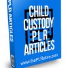 Child Custody PLR Articles