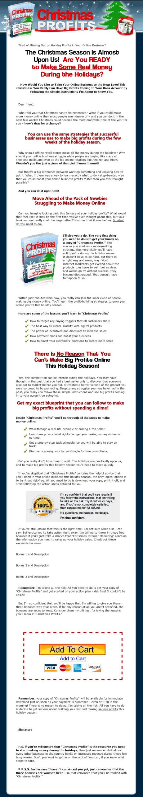 Christmas Profits PLR Ebook - UPDATED - Image 2