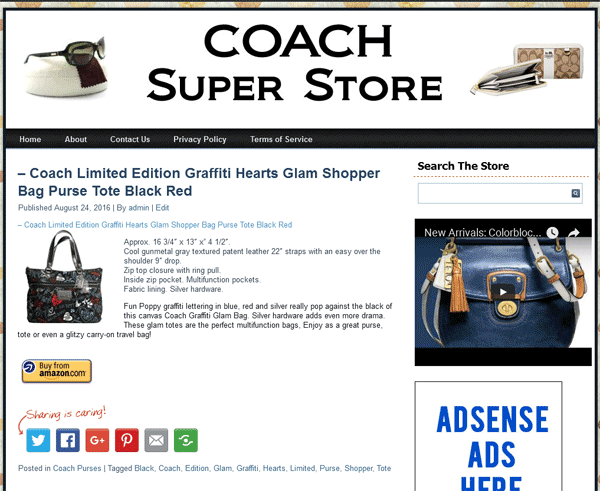 coach plr amazon store website