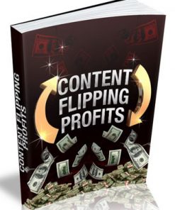 content flipping plr ebook