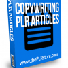 copywriting plr articles