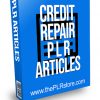 Credit Repair PLR Articles