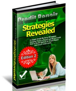 Credit Repair Strategies Revealed PLR eBook