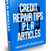 Credit Repair Tips PLR Articles
